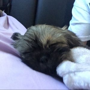 Meet your Posher, Kelly